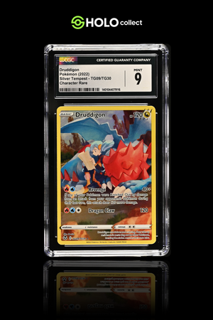 Druddigon [EN – Silver Tempest Character Rare]